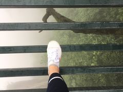 -梦幻奥陶纪景区