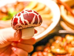 -潮界(LU·ONE凯德晶萃广场店)