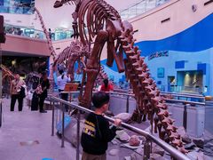 -陕西自然博物馆