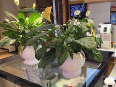 -丁丁&当当牦牛酸奶·酥油面包(官门口店)