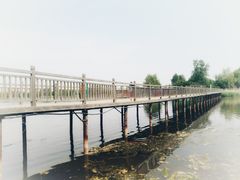 -蒲河岛湿地公园