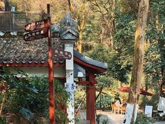 -岳麓山风景名胜区