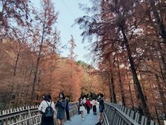 -福道