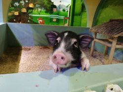 -酷嗒动物文化乐园(cutezoo西溪乐天城店)