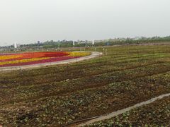 -润记农家菜