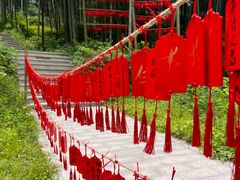 -东明山森林公园