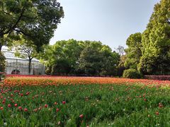 -上海鲜花港