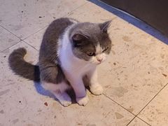 -第三空间·趣味桌游·轰趴.室内CS.剧本杀(大武汉1911店)