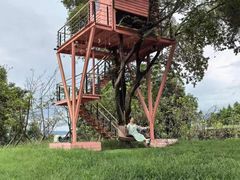 -福建鲤鱼洲酒店