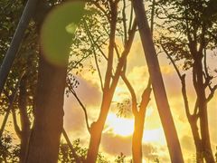 -春花秋色城市公园