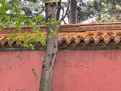 -北陵公园