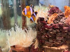 -太平洋海底世界