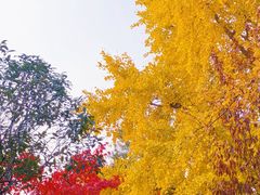 -戏马台景区