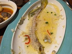 花雕醉黄鱼-寻宝记绍兴菜(鲁迅路店)