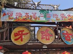 -呀路古热带植物园