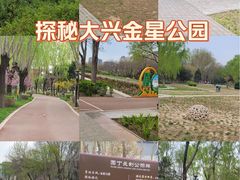 -金星公园