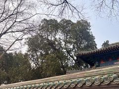 -北京国子监胡同