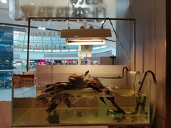 -北李妈妈菜·海肠捞饭(高新万达店)