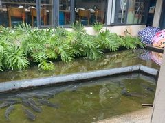 -大理老字号·舟渔的鱼野生菌海景餐厅(双廊店)