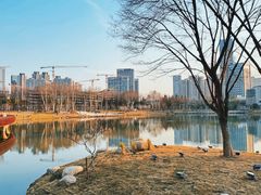-后襄河公园