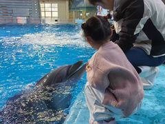 -合肥海洋世界
