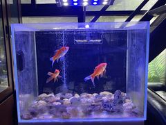 -FEELINGME乐刻私教馆·健身(沿海赛洛城店)