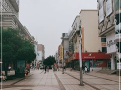 -沙洲路步行街(长安南路店)