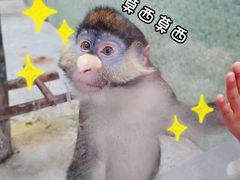-太原动物园