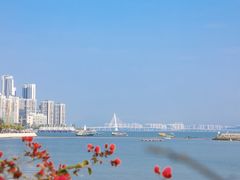 -招商蛇口邮轮母港(观光客运)