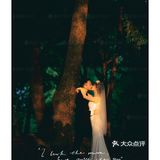 推荐🔥夏季限定·治愈满分的森系光影婚纱照