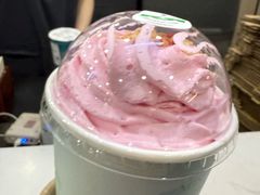 -雾与山茶(大禹城店)