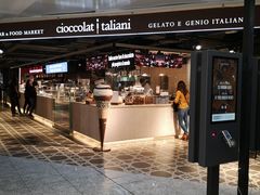 -米兰马尔彭萨国际机场