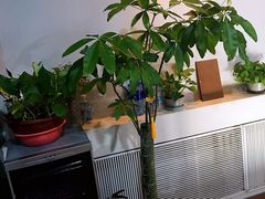 -繁花足道(梅江店)