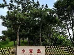 -小麦岛公园