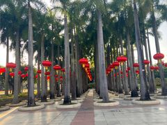 -深圳国际园林花卉博览园