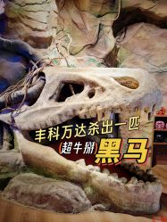 -探洞工场(丰科万达旗舰店)