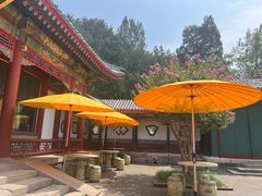 -宫事颐庭·老佛爷贵寿下午茶(颐和园店)