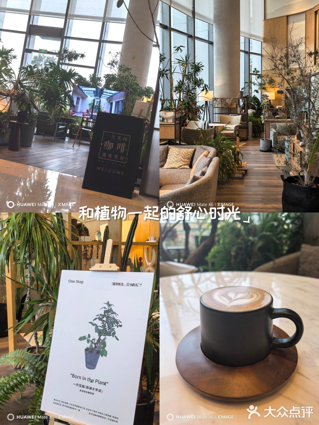 年初六誤闖植物園 之 一尺花園