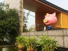 -田园东方蜜桃村的田野营地