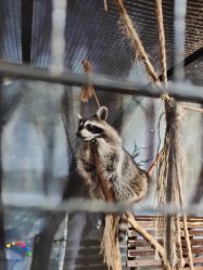 -酷嗒动物文化乐园(cutezoo西溪乐天城店)