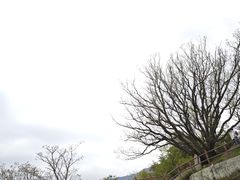-牛背梁国家森林公园