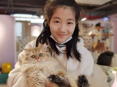 -三花喵·撸猫购宠·宠物生活馆(虹桥南丰城店)