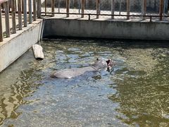 -青藏高原野生动物园