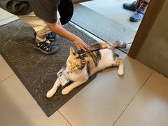 -Again Coffee Roaster(香蜜湖店)