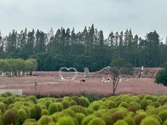 -嘉北郊野公园