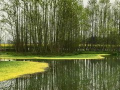 -桤木河湿地公园