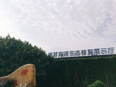 -芒洲湿地公园