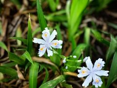 -唐城墙遗址公园