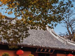-龙华寺