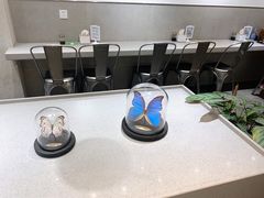 -小豆海棠(嘉兴路店)